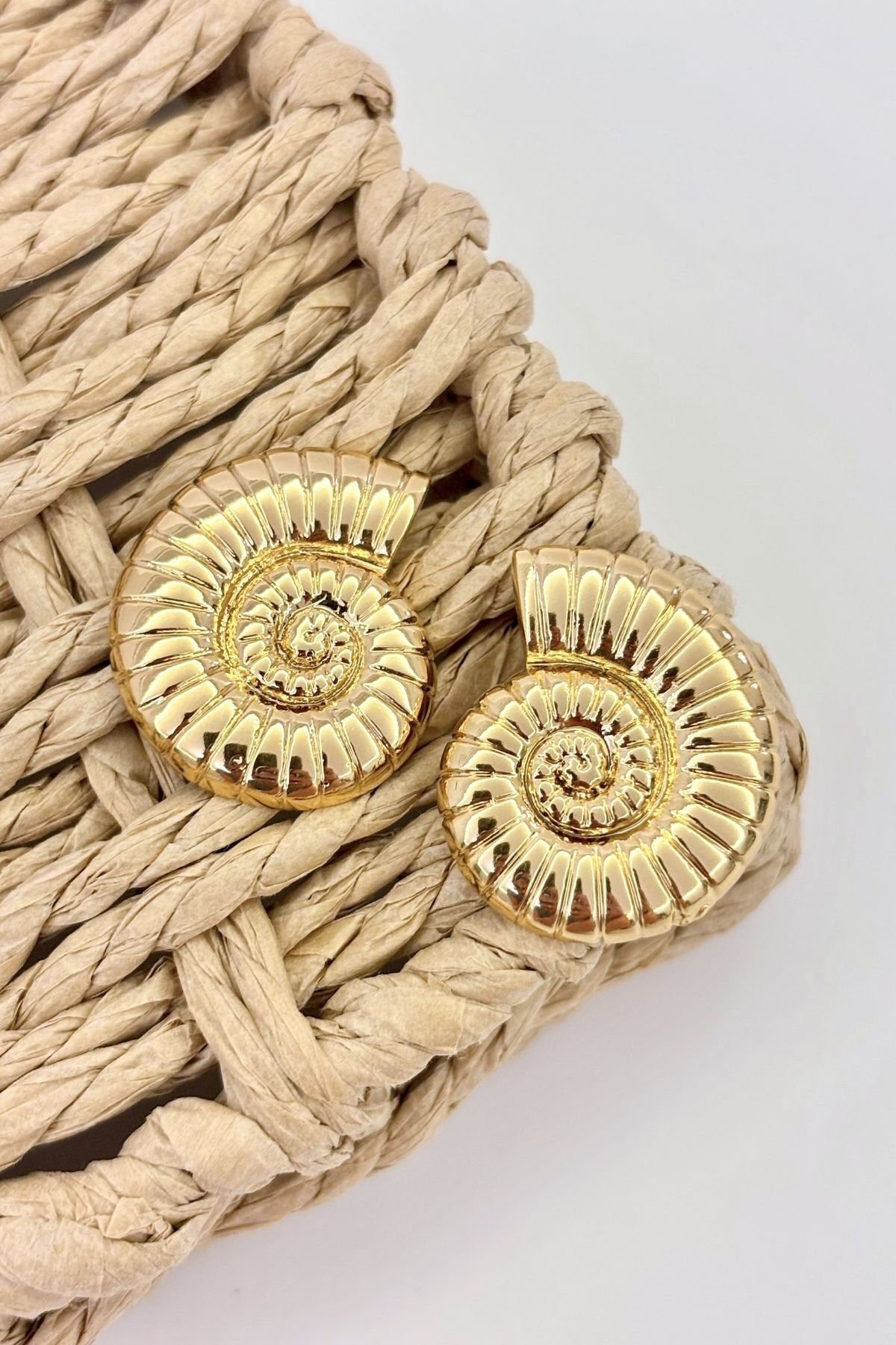 Nerida No:2 Çelik Küpe