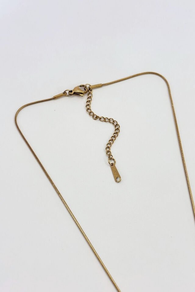 Celestia  No:1 Çelik Kolye