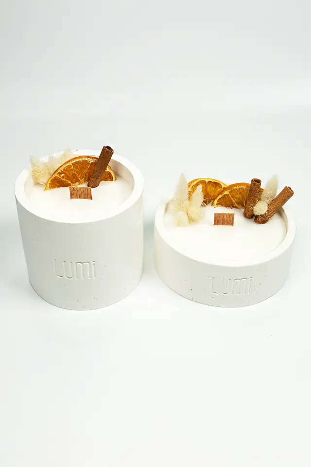 Lumi Harvest – %100 Soya Wax Vegan Beton Mum (Kurutulmuş Çiçek & Meyve)