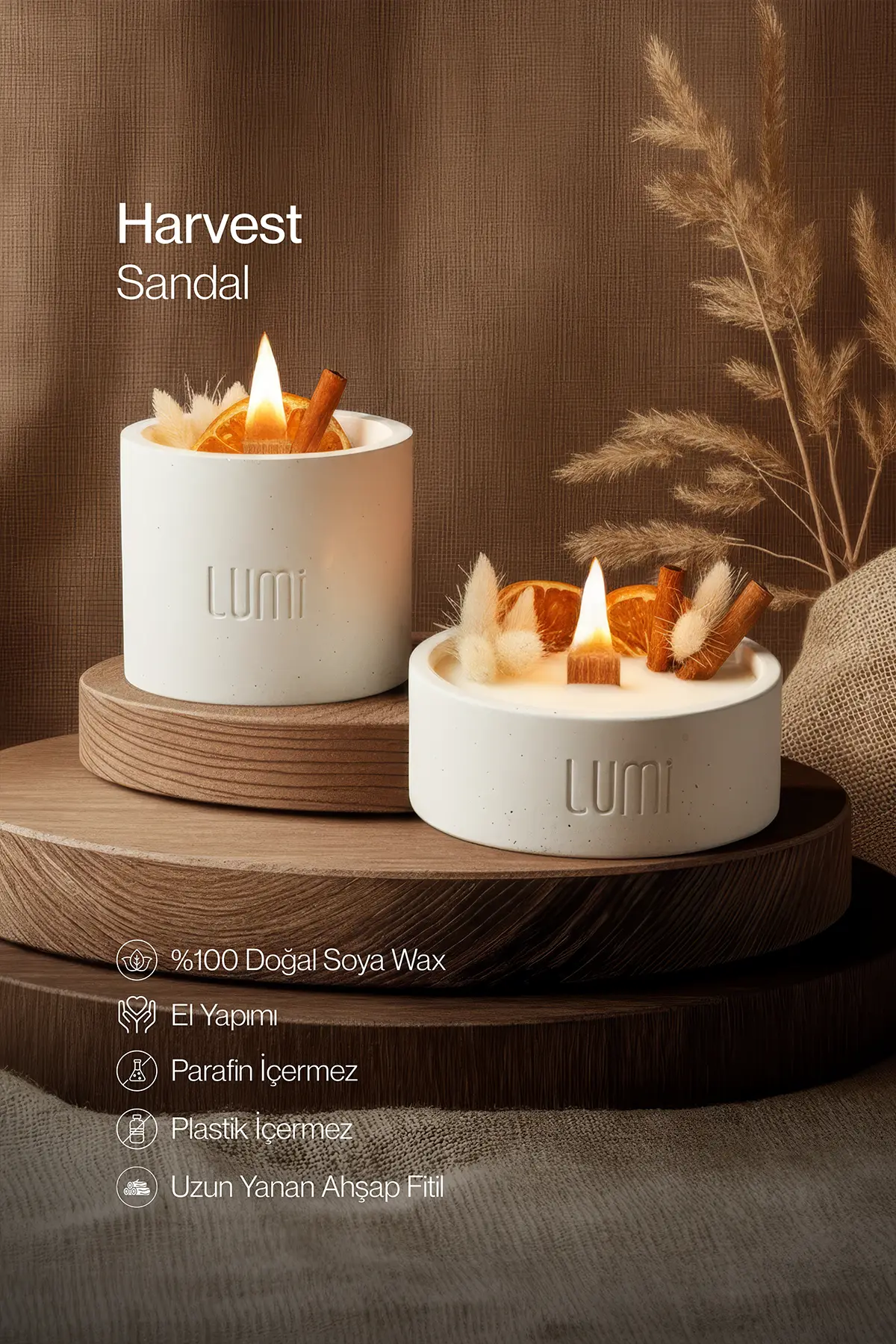 Lumi Harvest – %100 Soya Wax Vegan Beton Mum (Kurutulmuş Çiçek & Meyve)