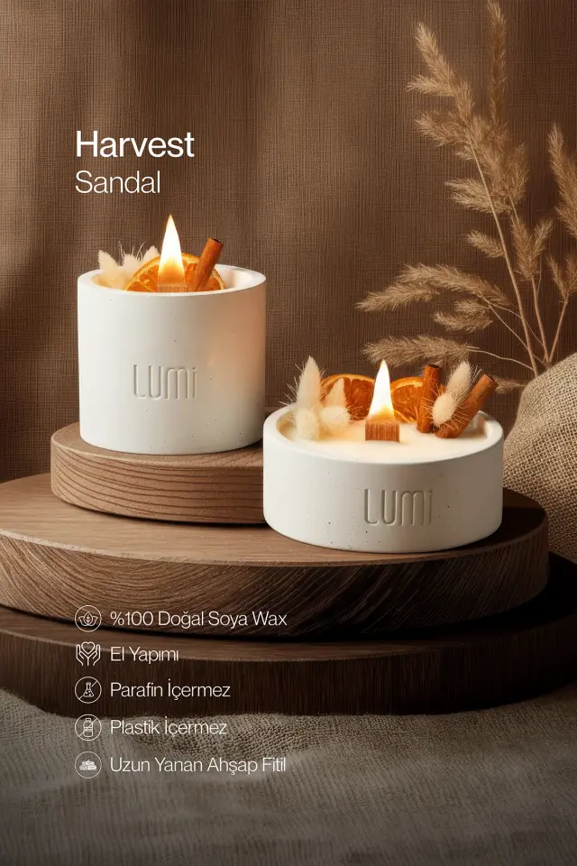 Lumi Harvest – %100 Soya Wax Vegan Beton Mum (Kurutulmuş Çiçek & Meyve)